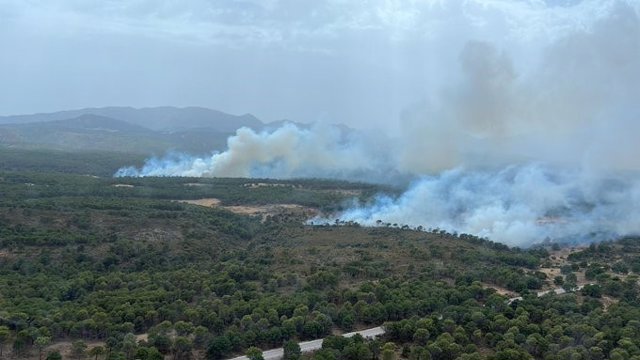 Paraje del Llano de los Alacranes