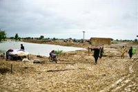 Aumentan a más de 1.100 los fallecidos por el temporal de lluvias en Pakistán