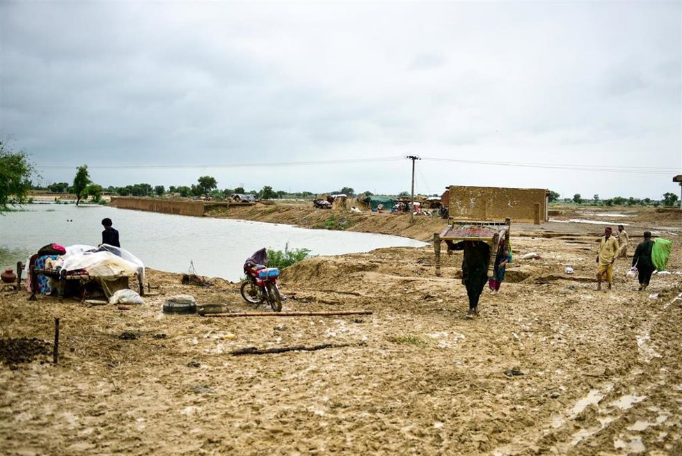 Las familias se desplazan a zonas más seguras para escapar de las inundaciones en el distrito de Naseerabad, en Baluchistán (Pakistán)