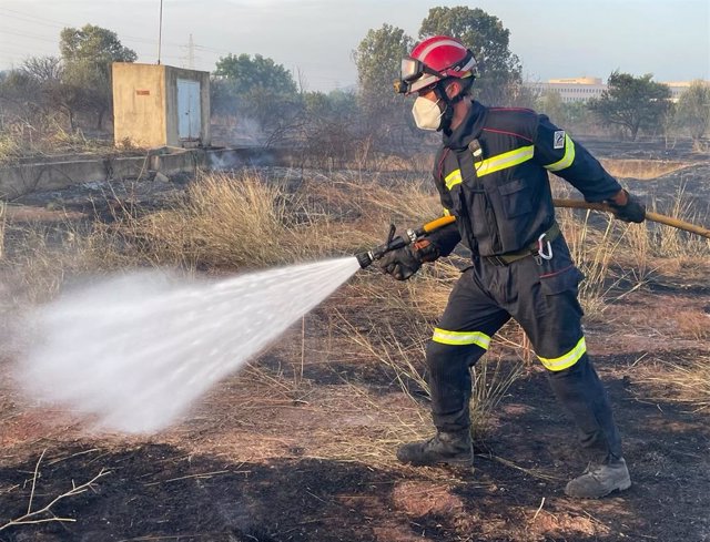 Imagen del incendio de vegetación de Vila-real (Castellón).