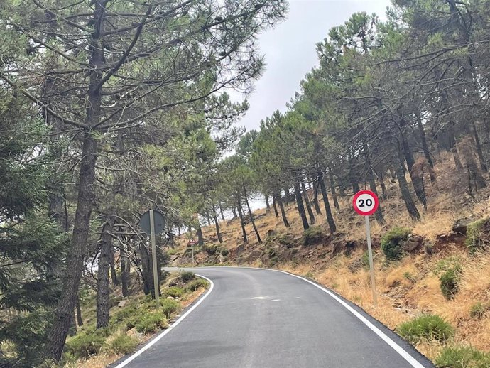 Camino de acceso a Los Reales de Sierra Bermeja