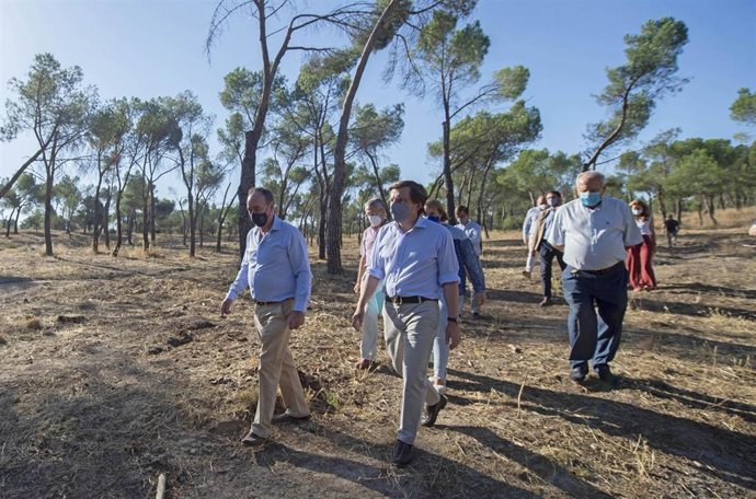 Archivo - El alcalde de Madrid, José Luis Martínez-Almeida (d), en la presentación del Plan de Recuperación del Arbolado, en Madrid (España). 