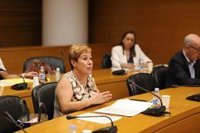 Cs critica la "falta de concreción" en las ayudas por incendios y reclama al Consell que "no engañe" con las cuantías