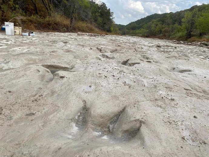 August 23, 2022, Glen Rose, Texas, United States: New dinosaur tracks have been discovered at Texas Dinosaur Valley State Park after a year of excessive drought..The tracks, which date back to 113 million years ago, were discovered in a dried up riverb