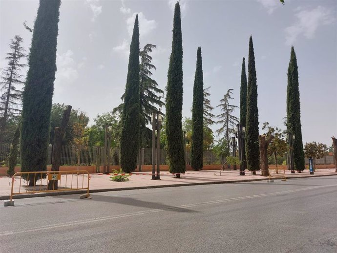 Un conjunto de árboles en los accesos al Parque Lorca, en la calle Arabial, en imagen de archivo