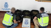 Detenidos tras una persecución en Elda dos hombres que llevaban 13,5 kilos de marihuana en el coche