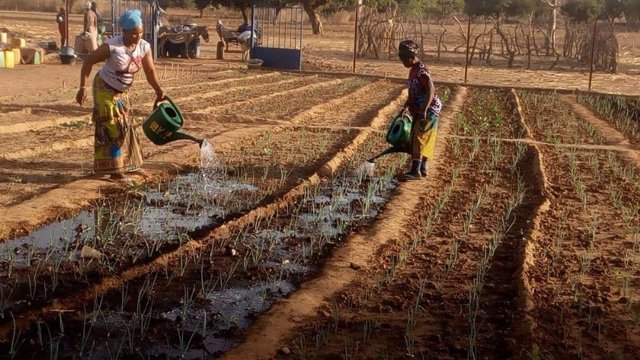 Proyecto “Diversificación e intensificación de la producción hortícola a través de la optimización y mejora de parcelas productivas dirigidas a mujeres en situación de exclusión socio económica, en Néguébougou (Malí)”. Beneficiario en Convocatoria 2021
