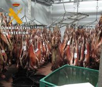 Inmovilizadas 270 piezas de ovino y caprino en un matadero de Jaén sin autorización