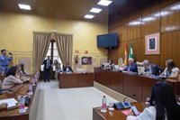 El coordinador del PP-A, cargos provinciales y exportavoz del PSOE-A Mario Jiménez presidirán comisiones parlamentarias