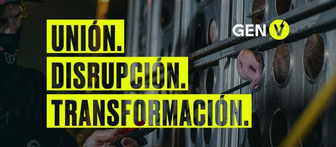 Cerdos en camión.
