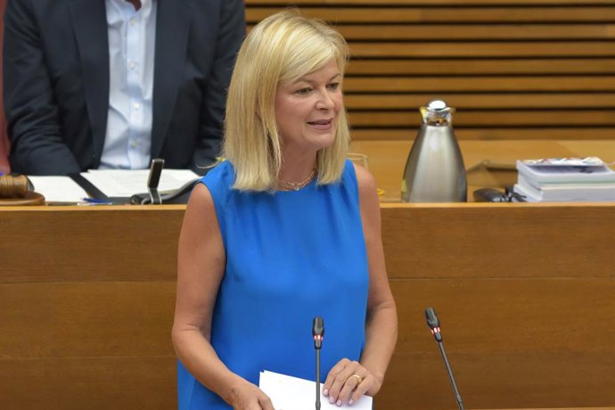 Bravo en la Diputació permanent de les Corts