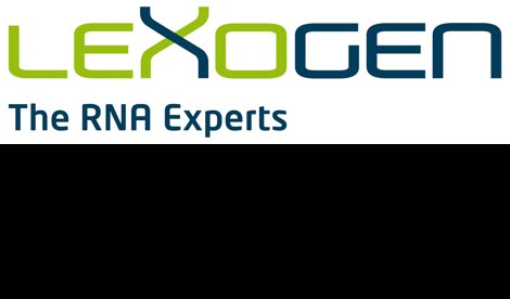 Comunicados Internacional