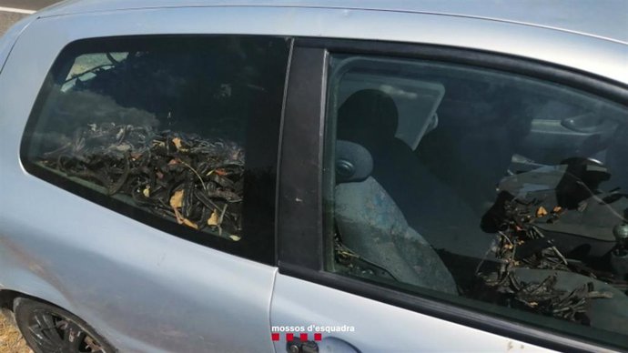 Los Mossos detienen a un hombre durante un control preventivo para evitar la sustracción de algarrobas