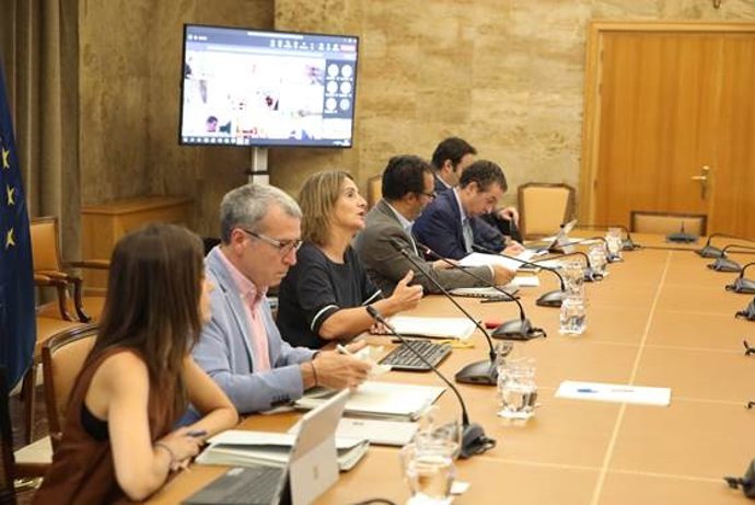 Teresa Ribera en la reunión de la Conferencia Sectorial de Reto Demográfico.