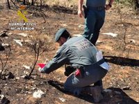 Detenido en Sevilla el autor de un incendio forestal en el Corredor Verde del Guadiamar