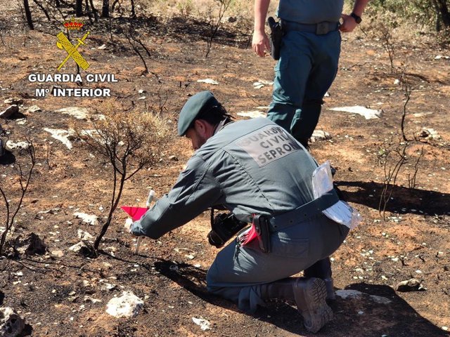 Agentes del Seprona investigan un incendio forestal en una imagen de archivo.