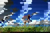 Herido un ciclista en Nigrán que se cayó de la bicicleta al ser atacado por un loro