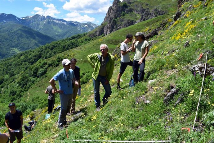 Archivo - Miembros del grupo de investigación inventariando riqueza de especies en los Picos de Europa.