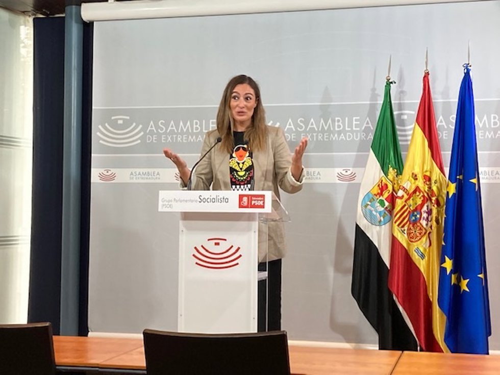 El PSOE extremeño pide a la oposición a que asista este viernes al Pacto por el Ferrocarril para "reivindicar allí"