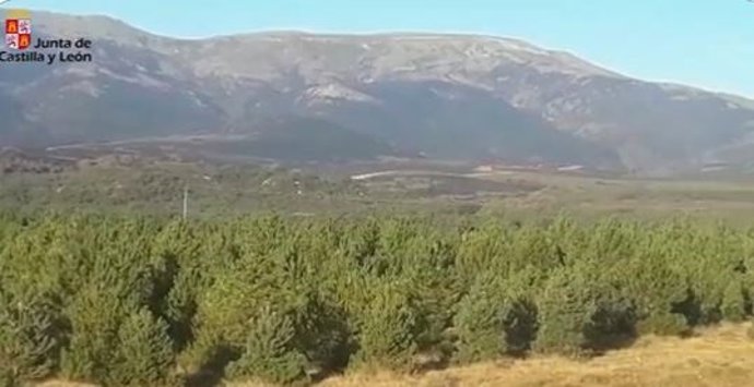 Zona afectada por el incendio del Campo de Tiro del Teleno en la mañana del viernes 2 de septiembre.