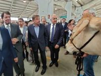 Planas dice que las cámaras en mataderos son petición del sector cárnico, que cumple los "mayores estándares"