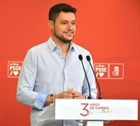 PSOE critica "la labor obstruccionista" de PP y Cs al bloquear un pleno para aprobar la Ley contra Violencia de Género