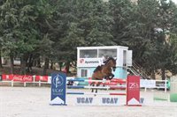 La UCAV patrocina una de las pruebas del Concurso de Saltos de Ávila