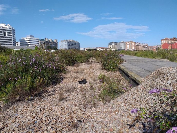 Tterrenos sin urbanizar del Plan de Vías, en Gijón