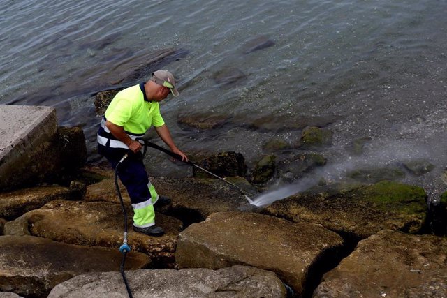 Un operario limpia las rocas manchadas en la playa de Poniente de La Línea con el vertido del OS35.