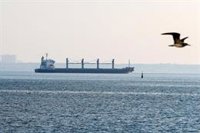Seis nuevas embarcaciones con cereales salen de puertos ucranianos hacia Turquía para su inspección