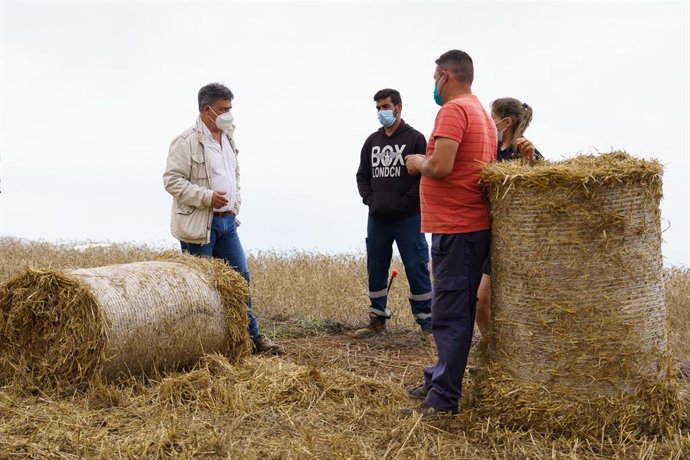 Archivo - El consejero de Agricultura del Cabildo de Tenerife, Javier Parrila, en la trilla de Cereales de Icod el Alto
