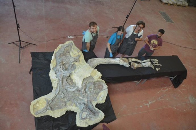 La restauración de la extremidad posterior del titanosaurio hallado 'Lo Hueco' en Cuenca.