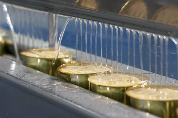 Junta pone disposición de la pesca 3,6 millones para mejorar la comercialización, competitividad y eficiencia del sector