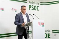 El PSOE de Almería acusa al PP de "violentar la democracia al conseguir la alcaldía con el apoyo de un tránsfuga"