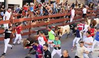 Los encierros de San Sebastián de los Reyes dejan a ocho heridos por contusiones