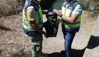 Localizado en una carretera de El Puerto el busto de 'Pepe el del Vapor' y detenido unos de los presuntos ladrones