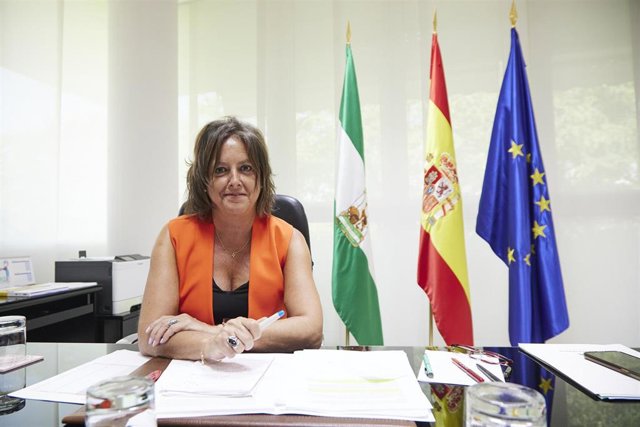 Vídeo de la noticia