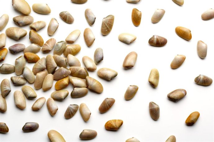 Nota De La Consejería De Agricultura, Pesca, Agua Y Desarrollo Rural