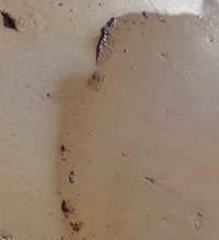 Reabierta la playa de Poniente de la Línea (Cádiz) tras la limpieza de vertidos del buque