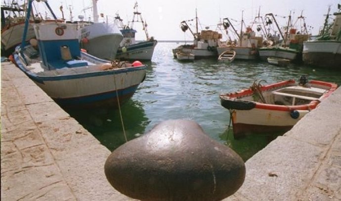 Archivo - Puerto pesquero de Barbate.