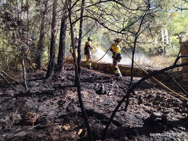 Efectivos del Ibanat, Emergencias y Bomberos de Ibiza sofocan un incendio forestal en Santa Eulària