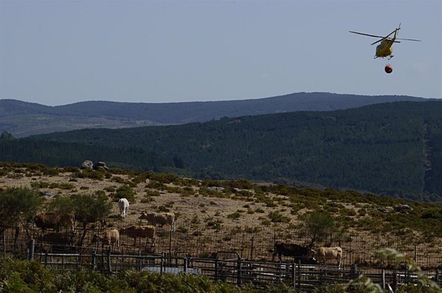 Un helicóptero que realiza labores de extinción en el incendio forestal en la Serra do Leboreiro, sobrevuela una explotación ganadera, en el parque natural de Baixa Limia e Serra do Xurés, a 26 de agosto de 2022, en Serra do Xurés, Ourense