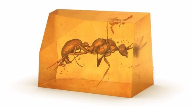 Imagen tridimensional de la especie de hormiga extinta previamente desconocida.