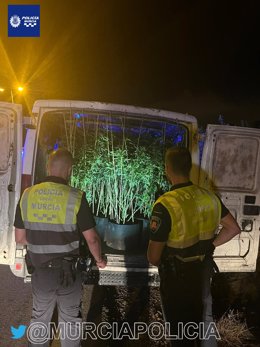 La Policía Local de Murcia interviene una furgoneta con 23 plantas de marihuana en su interior