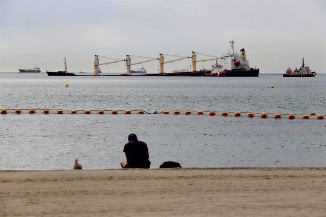 Una persona en la playa observa el buque granelero OS35.