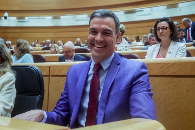 El presidente del Gobierno, Pedro Sánchez, en una sesión plenaria en el Senado, a 7 de junio 