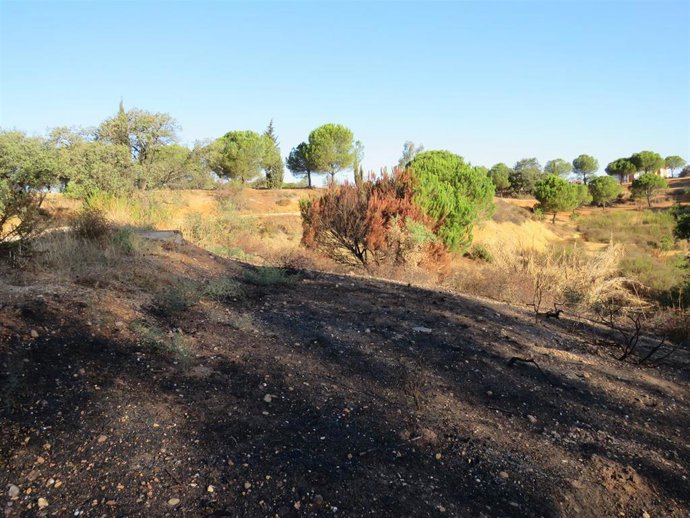 Andalucía por Sí lamenta "la nula labor" de mantenimiento del Ayuntamiento de Huelva tras los incendios de este verano.