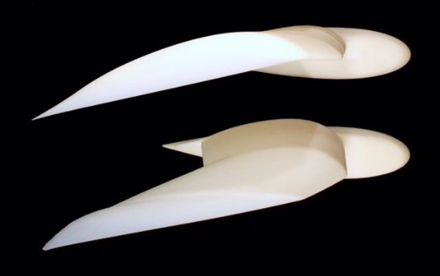 Tres modelos de túnel de viento de alas de gaviota. Al combinar estudios aerodinámicos con modelos de fuerzas de inercia, la ingeniera aeroespacial Christina Harvey está obteniendo nuevos conocimientos sobre cómo las aves controlan su vuelo.