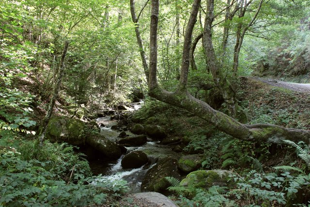 Valle del Silencio en El Bierzo (León)