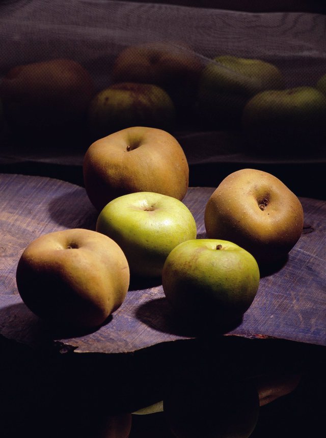 Manzana reineta de El Bierzo en León